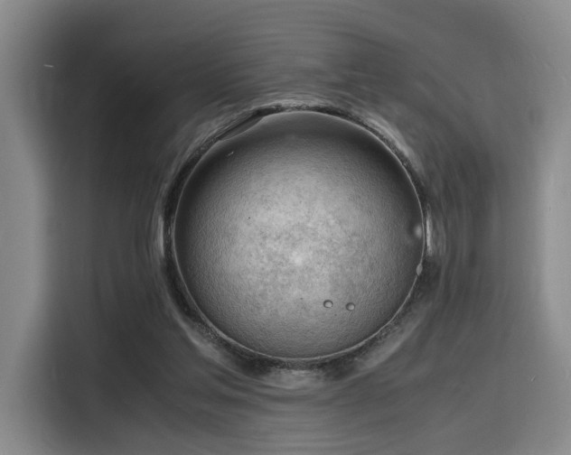X0000116140205200911231318