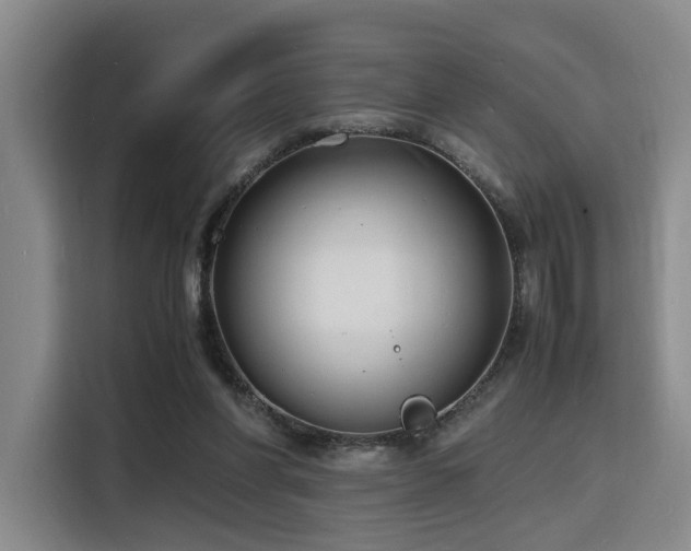X0000116140206200911231318