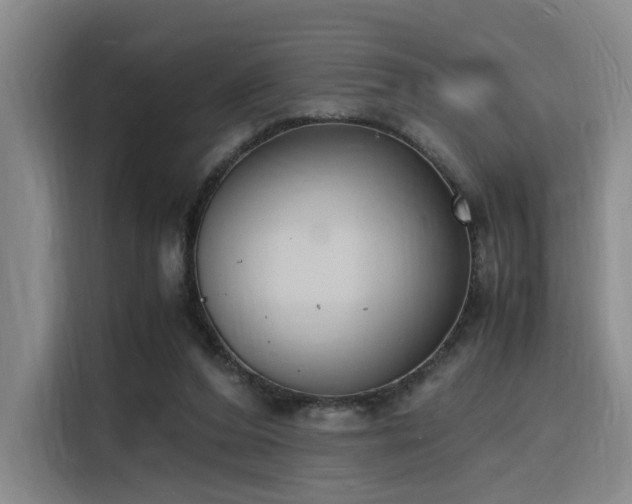 X0000116140208200911231318