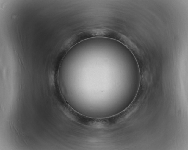 X0000116140209200911231318