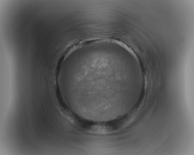 X0000116140211200911231318
