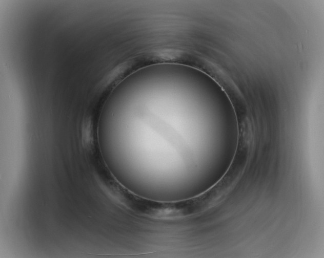 X0000116140212200911231318