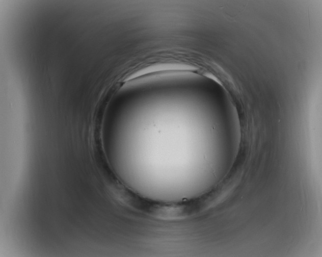 X0000116140217200911231318