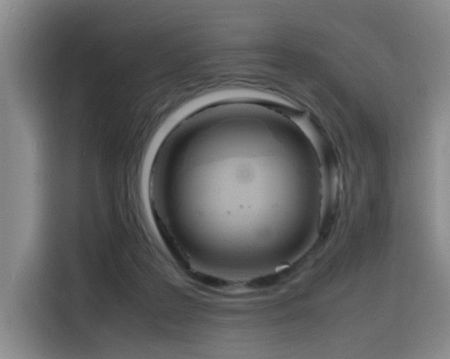 X0000116140219200911231318