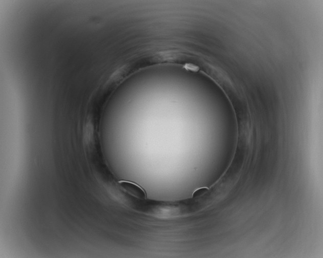 X0000116140220200911231318