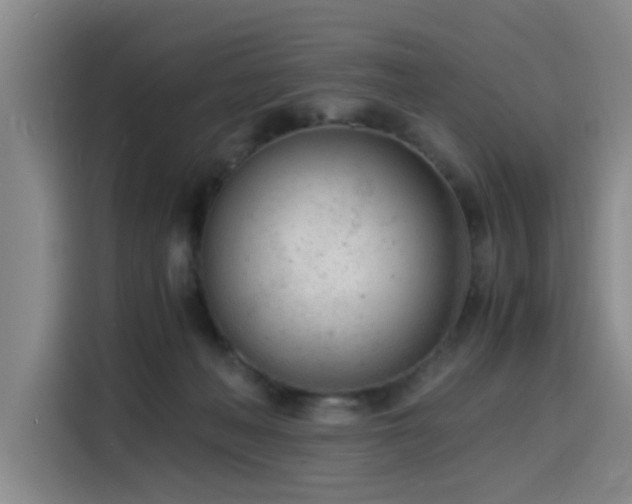 X0000116140222200911231318
