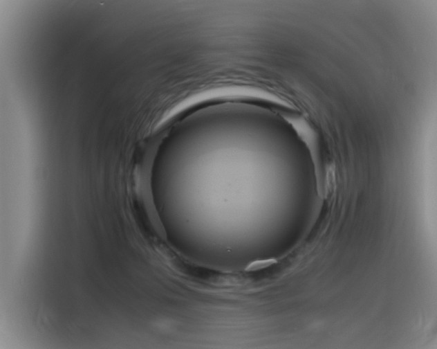 X0000116140223200911231317