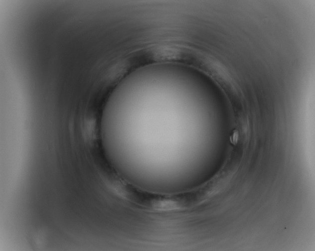 X0000116140224200911231317
