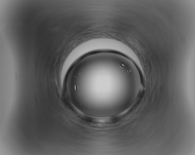 X0000116140229200911231317