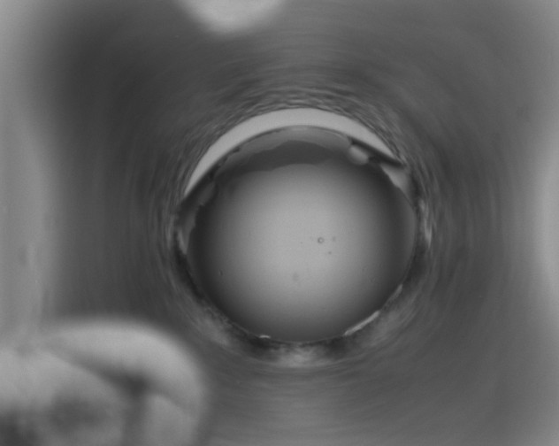 X0000116140235200911231317