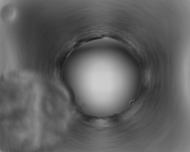 X0000116140236200911231317