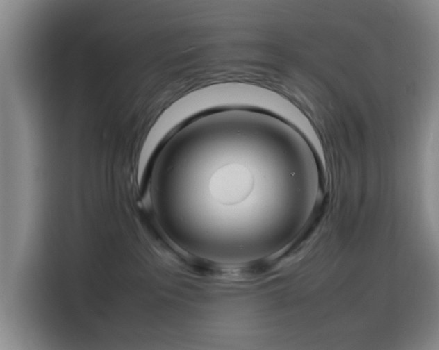 X0000116140237200911231317