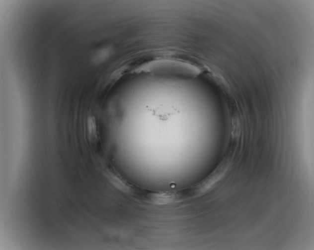 X0000116140238200911231317