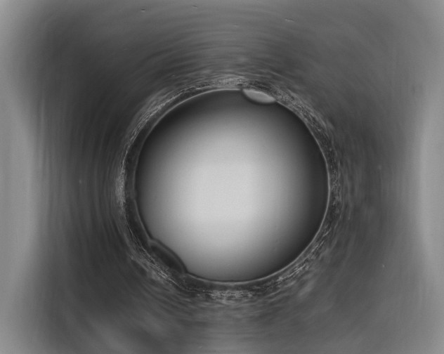 X0000116140242200911231317