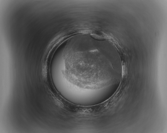 X0000116140243200911231317