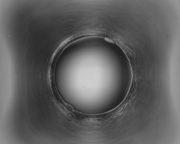 X0000116140244200911231317