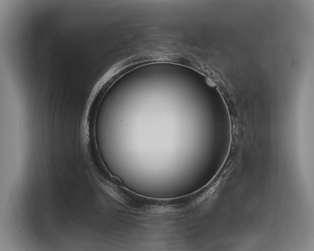 X0000116140246200911231317