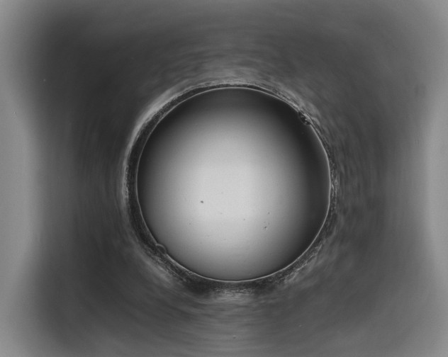 X0000116140248200911231317