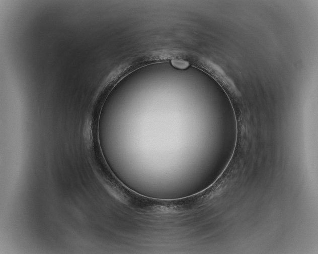 X0000116140250200911231317