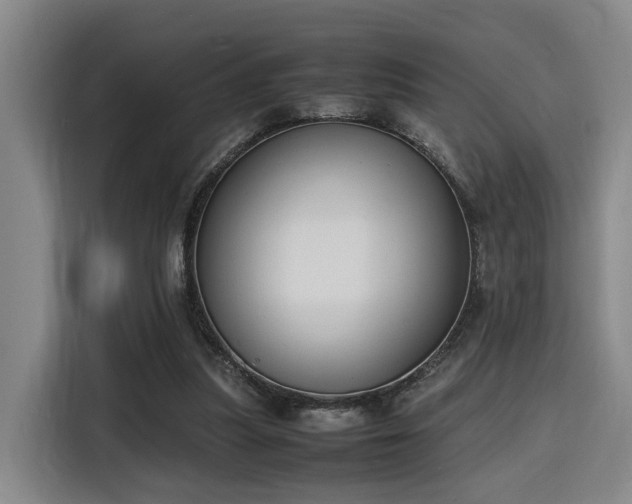 X0000116140251200911231317