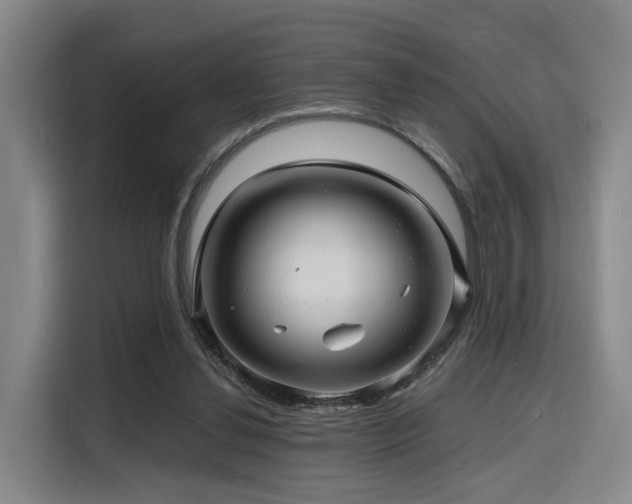 X0000116140252200911231317