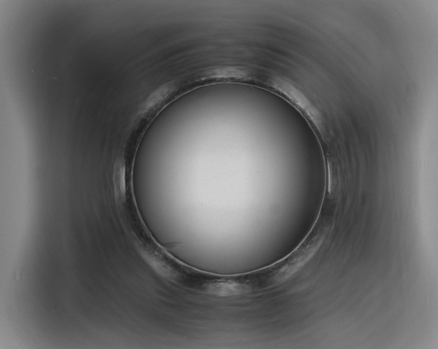 X0000116140253200911231317