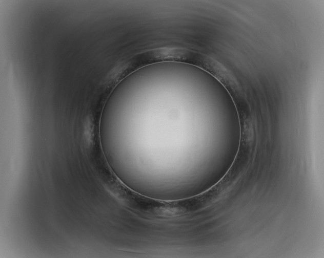 X0000116140255200911231317