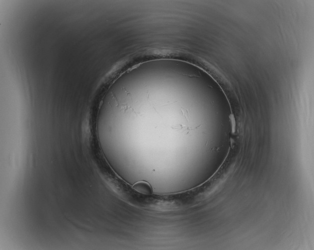 X0000116140256200911231317