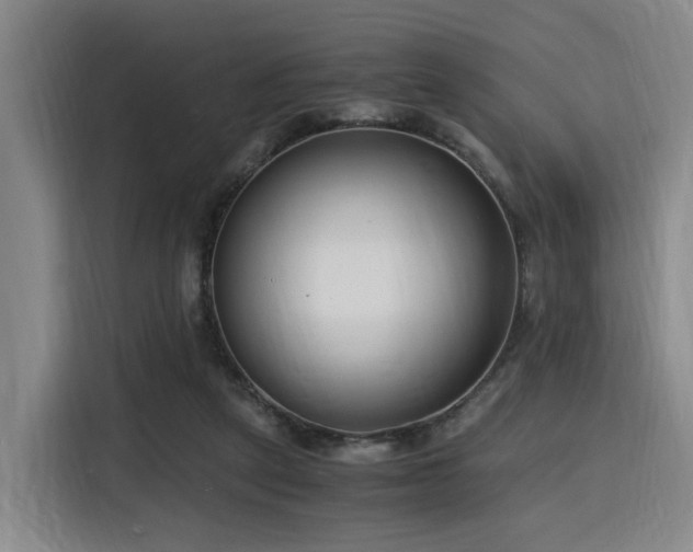 X0000116140257200911231317
