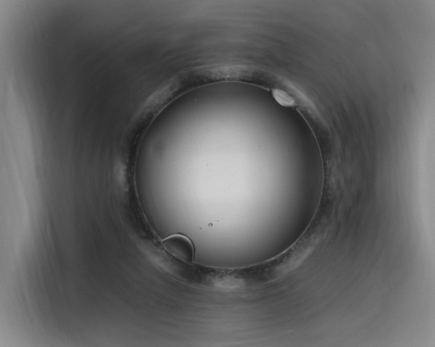 X0000116140258200911231317
