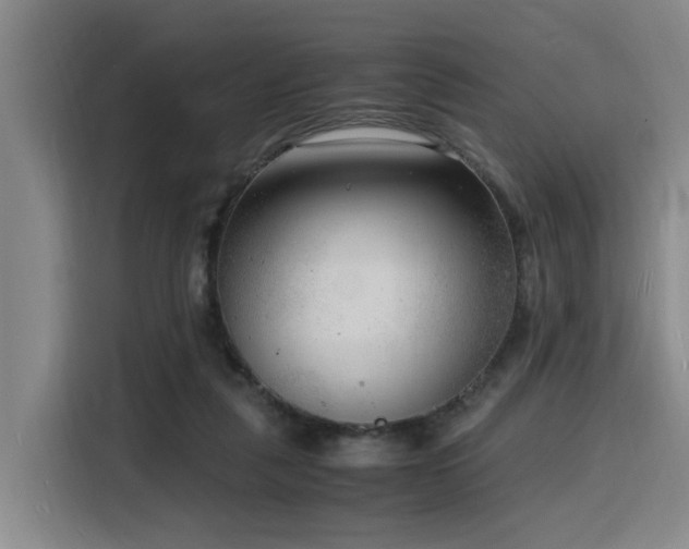 X0000116140259200911231317