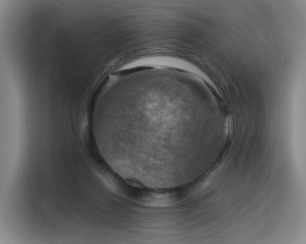 X0000116140260200911231317