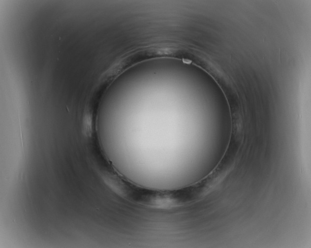X0000116140262200911231317