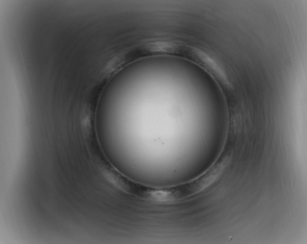 X0000116140265200911231317