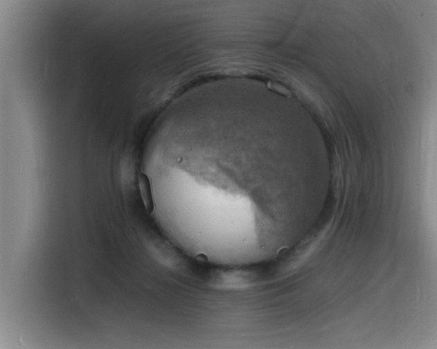 X0000116140268200911231317