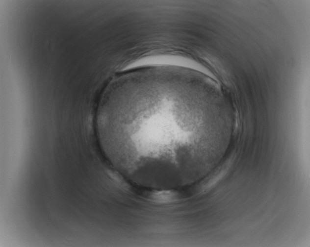 X0000116140269200911231317