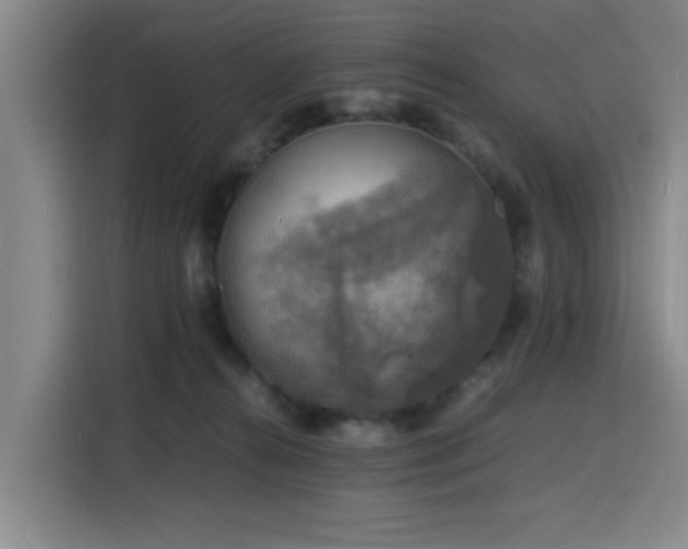 X0000116140272200911231317