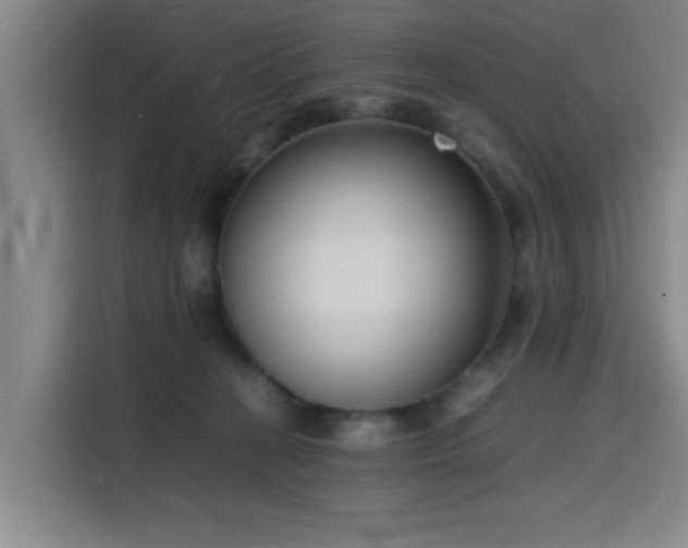 X0000116140274200911231317