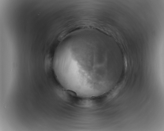 X0000116140276200911231317