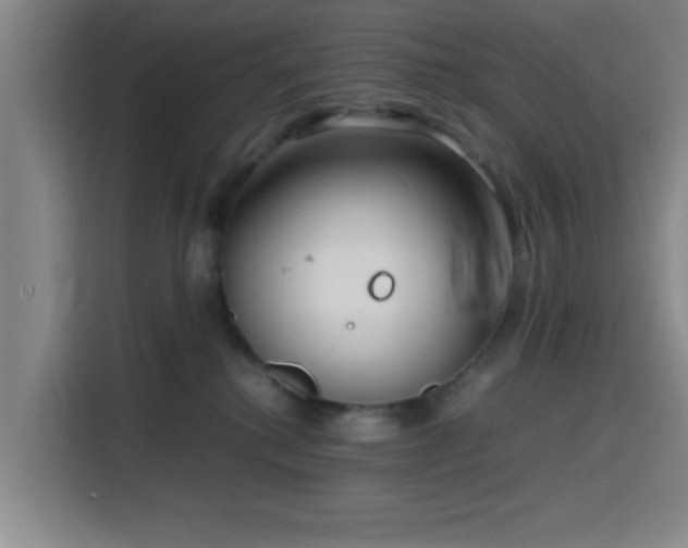 X0000116140280200911231317