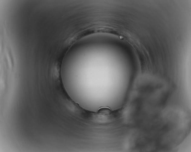 X0000116140282200911231317