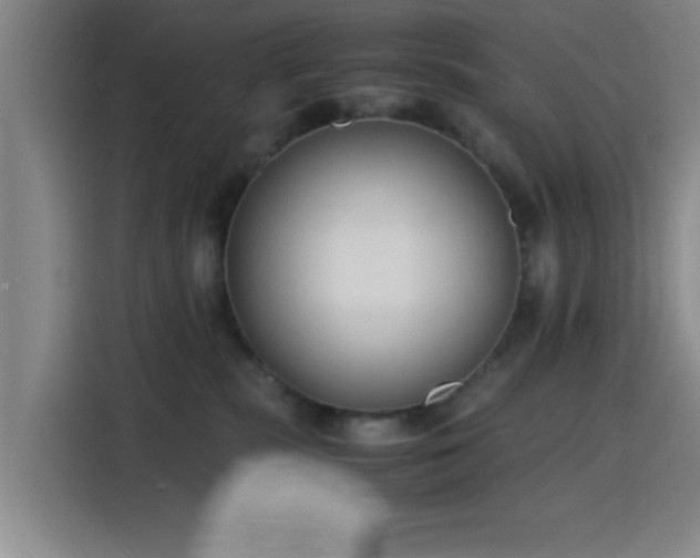 X0000116140283200911231317