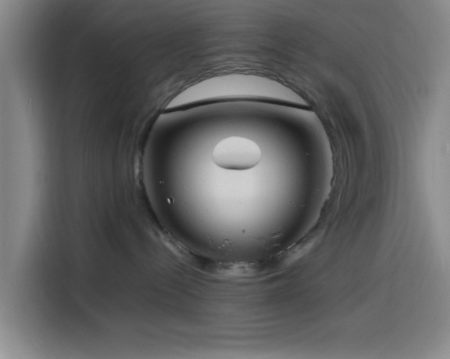 X0000116140288200911231317