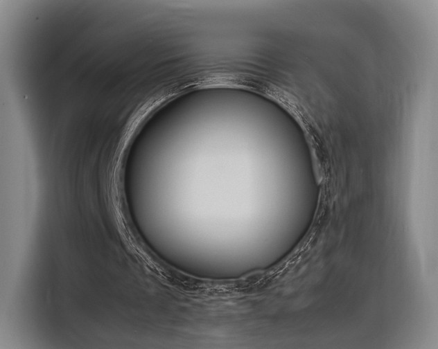 X0000116140289200911231317