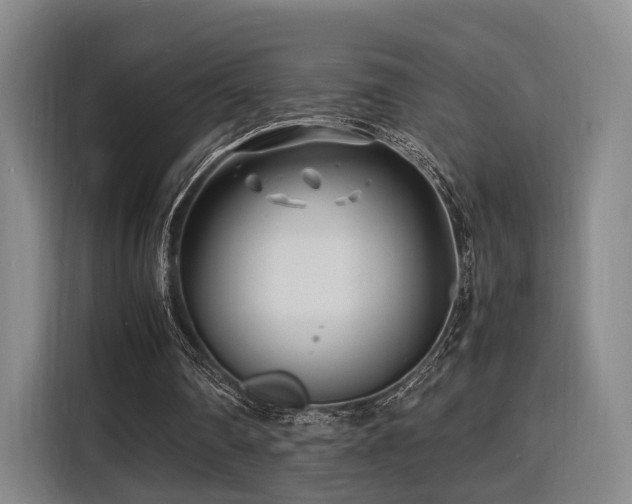 X0000116140290200911231317