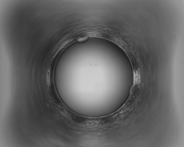 X0000116140291200911231317