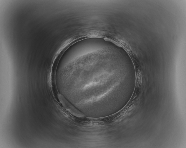 X0000116140292200911231317