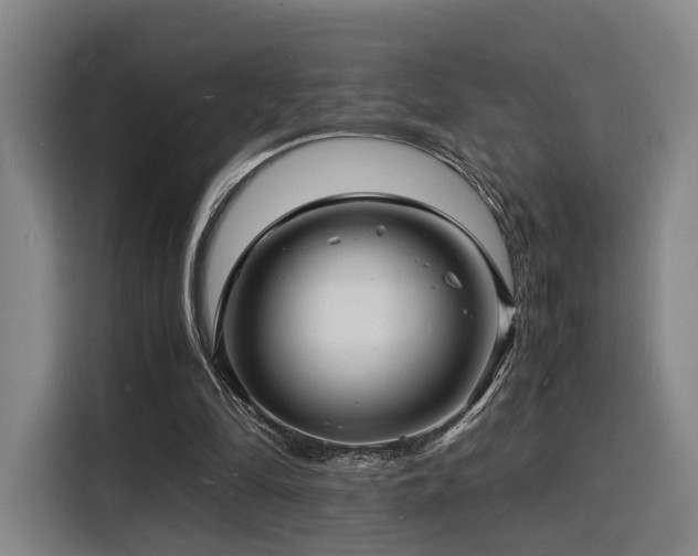 X0000116140294200911231317