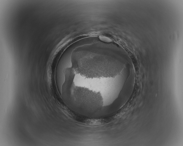 X0000116140295200911231317