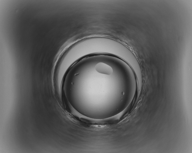 X0000116140296200911231317